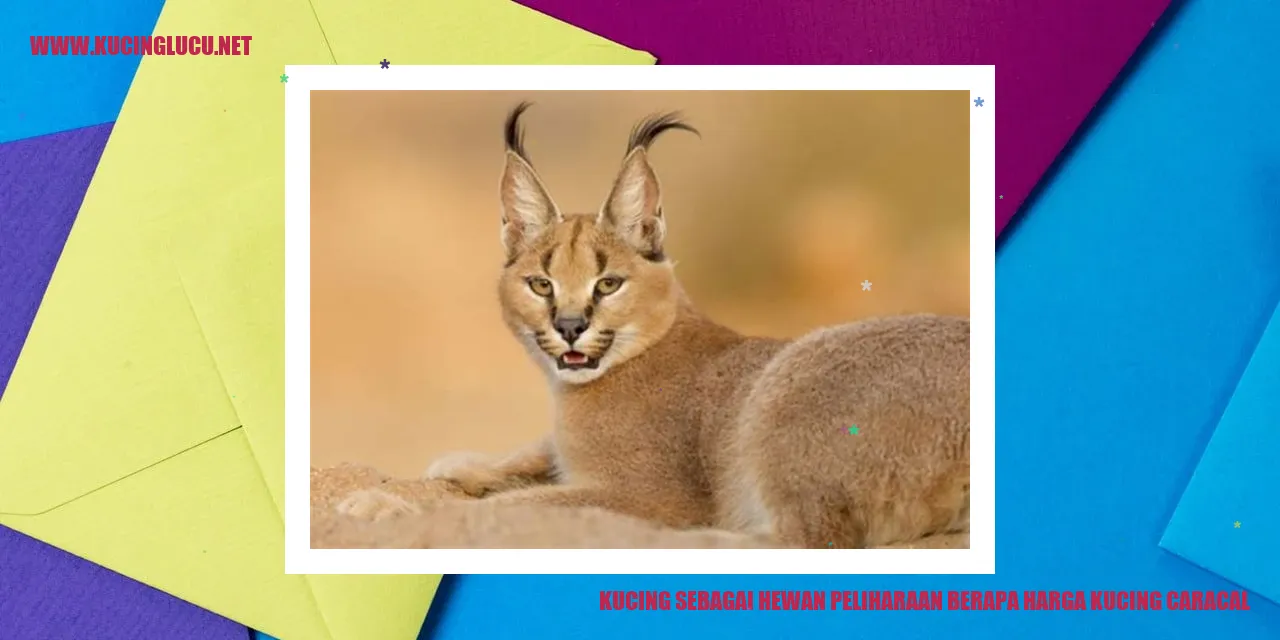 Kucing sebagai Hewan Peliharaan