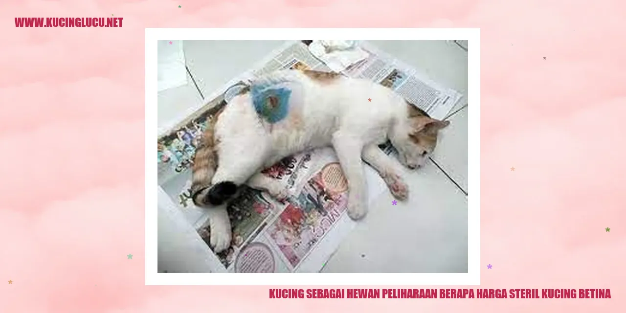 Gambarnya kucing