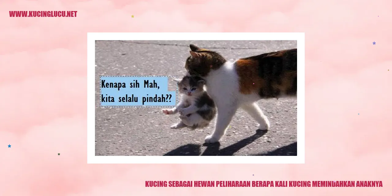 Gambar Kucing sebagai Hewan Peliharaan