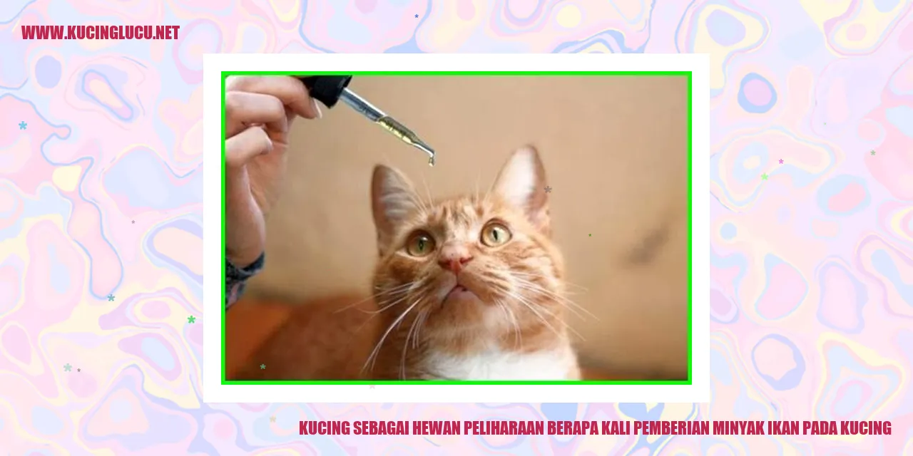 Kucing sebagai Hewan Peliharaan berapa kali pemberian minyak ikan pada kucing