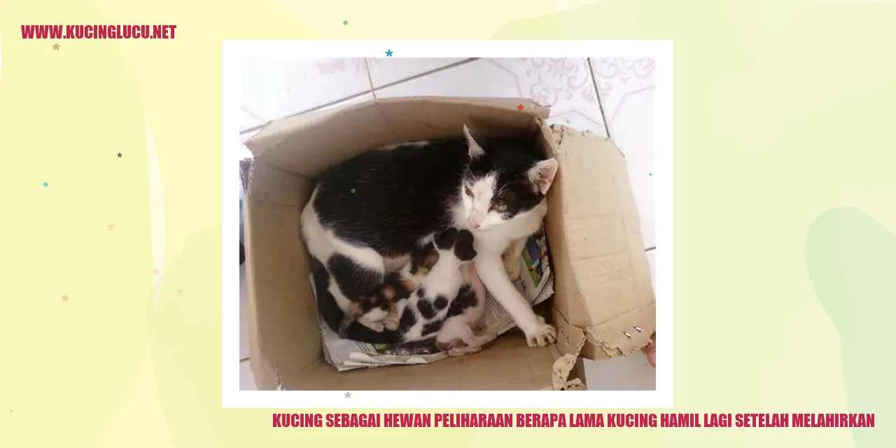 Kucing sebagai Hewan Peliharaan