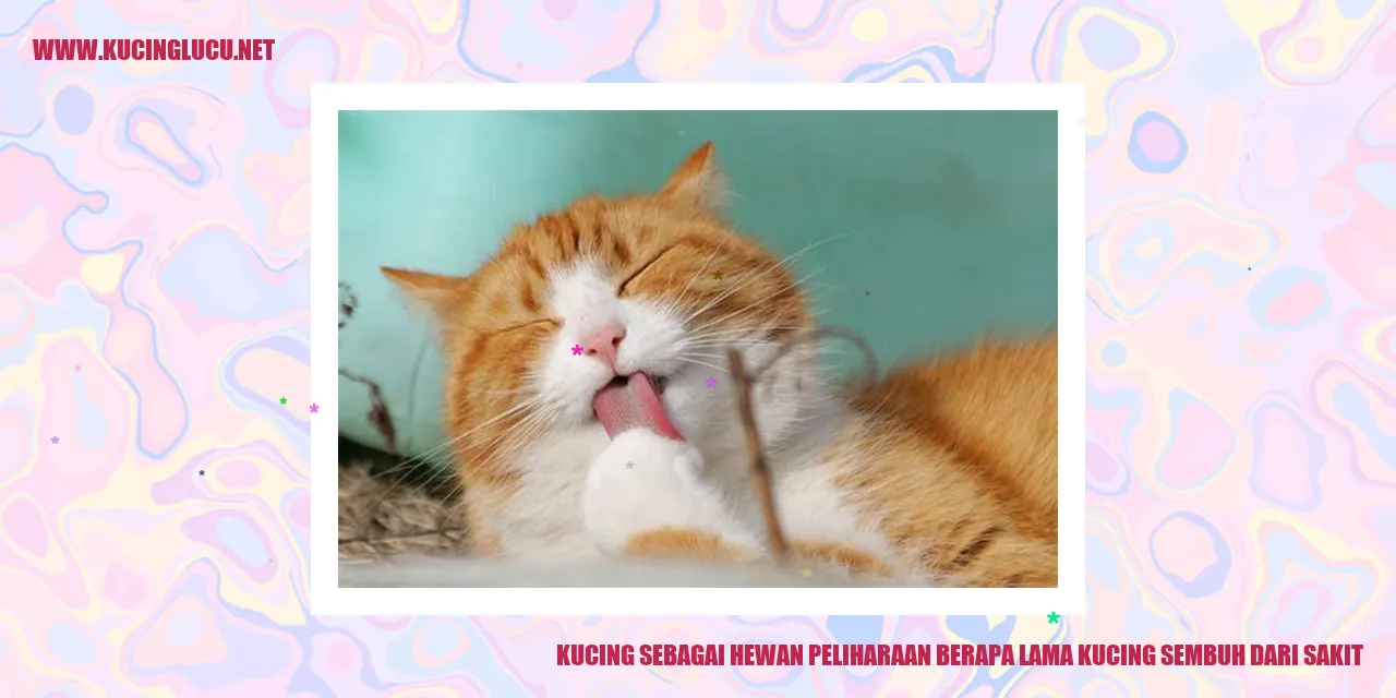 Gambar Kucing Sakit
