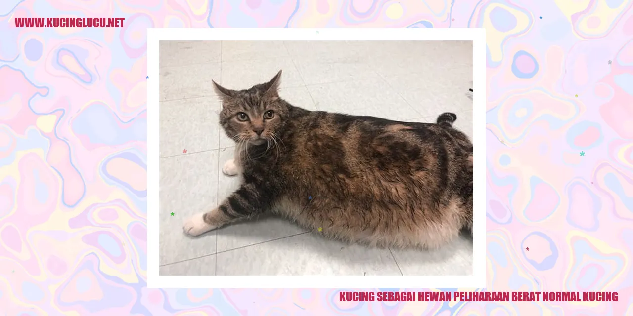 Kucing sebagai Hewan Peliharaan