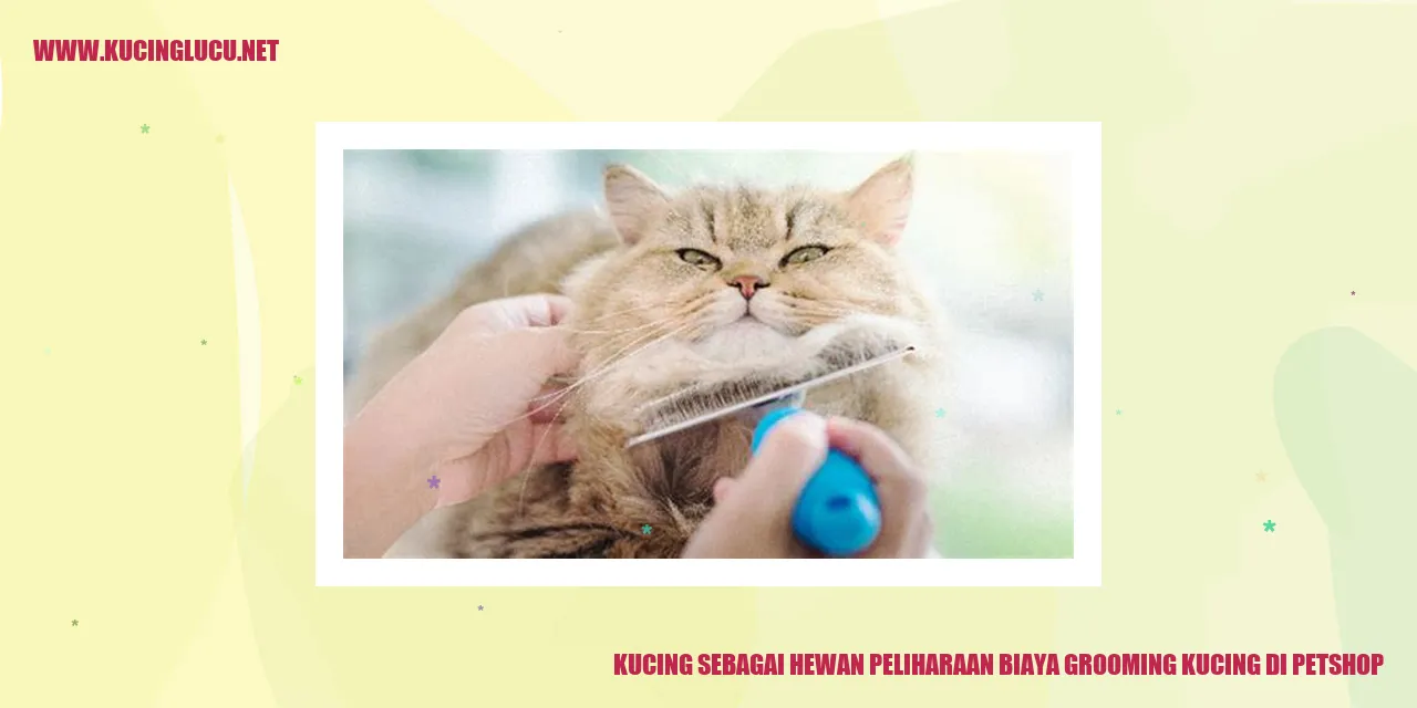 Kucing