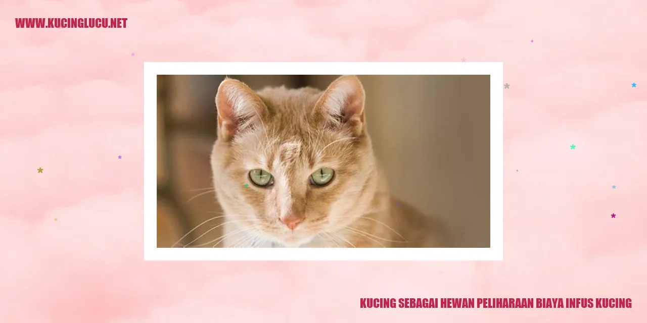 Gambar Keberadaan Kucing Sebagai Hewan Piaraan