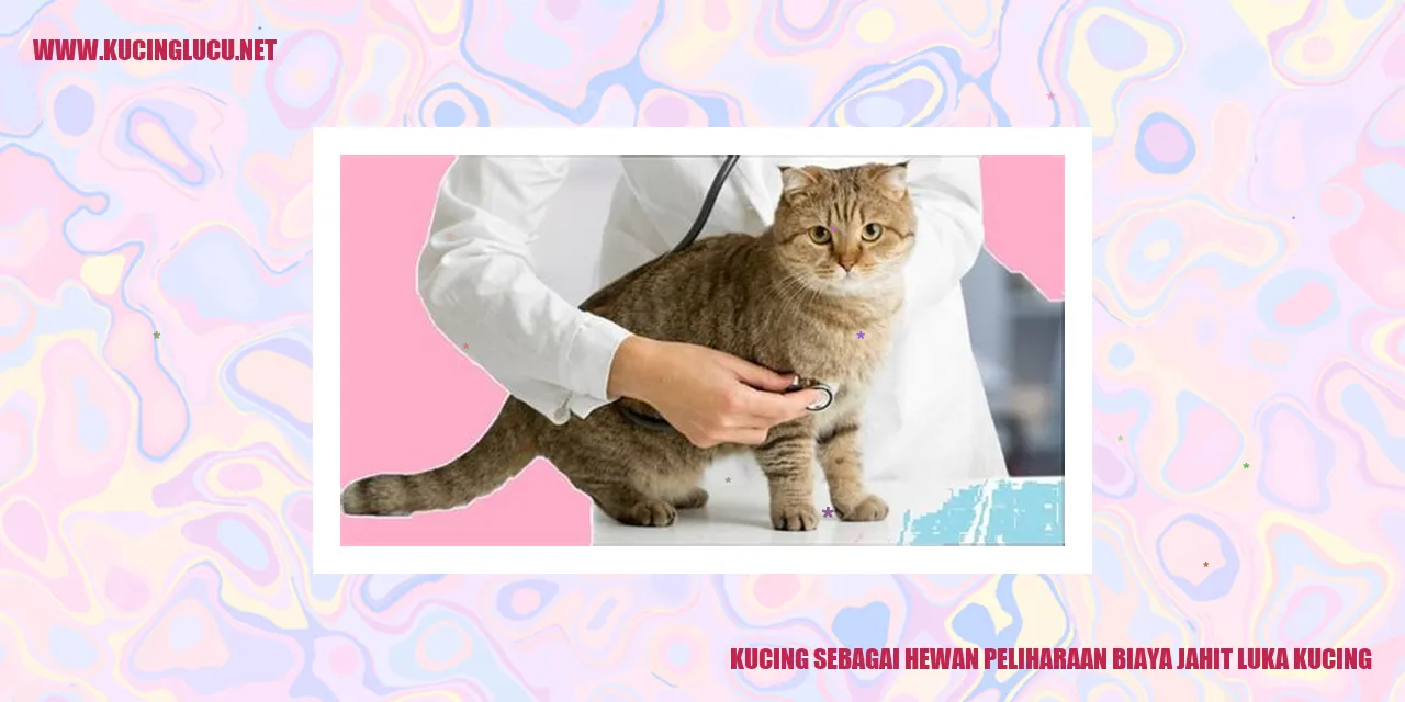 Gambar Kucing yang Terluka dan Dijahit