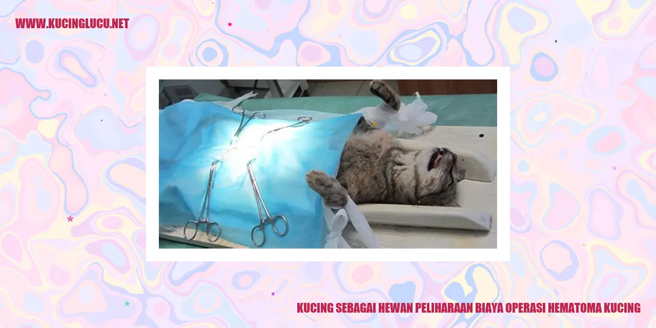 Kucing sebagai Hewan Peliharaan biaya operasi hematoma kucing