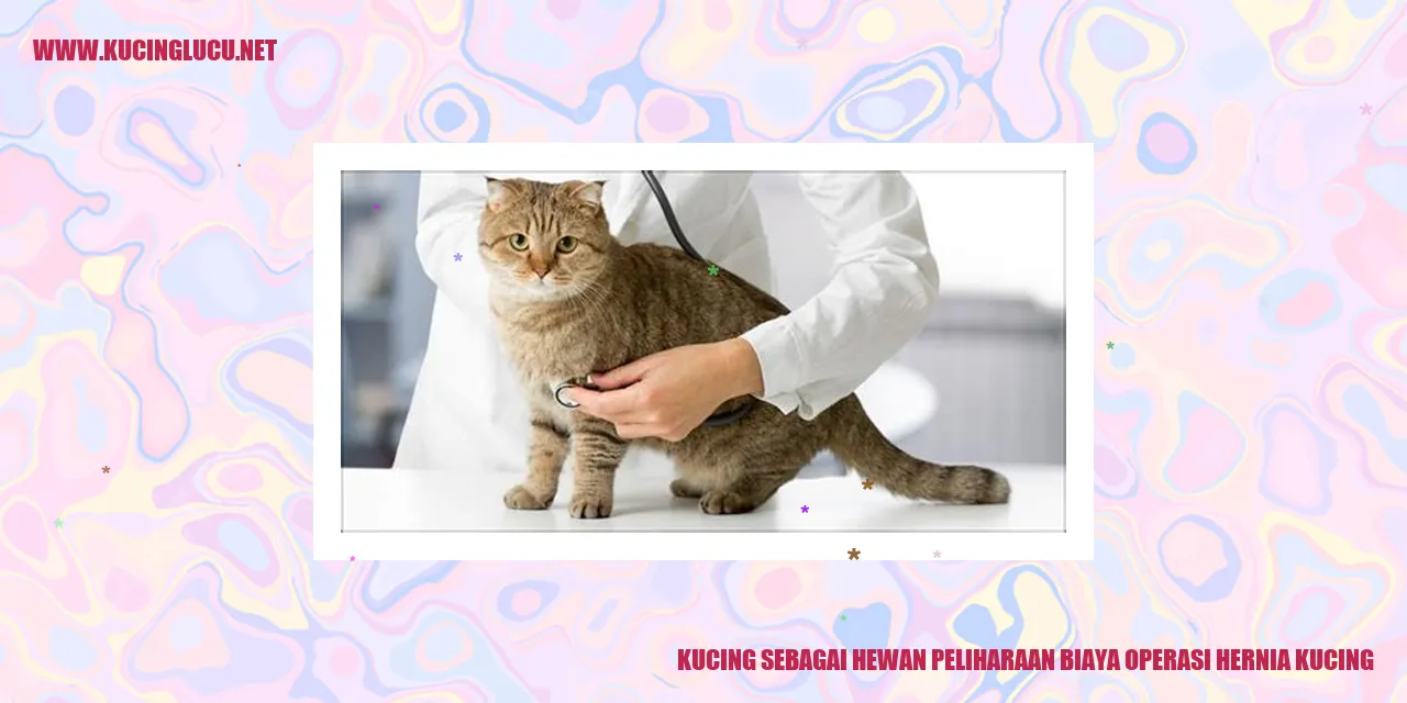 Kucing sebagai Hewan Peliharaan biaya operasi hernia kucing