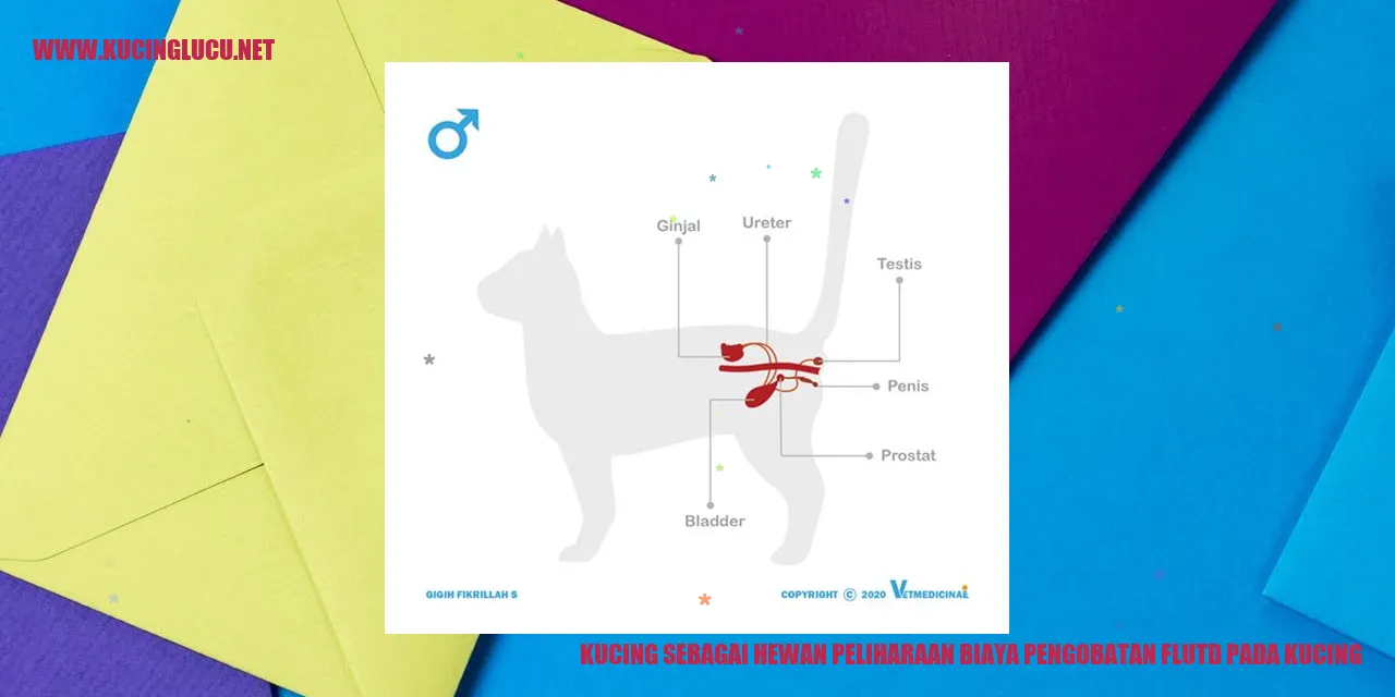 Kucing sebagai Hewan Peliharaan biaya pengobatan flutd pada kucing