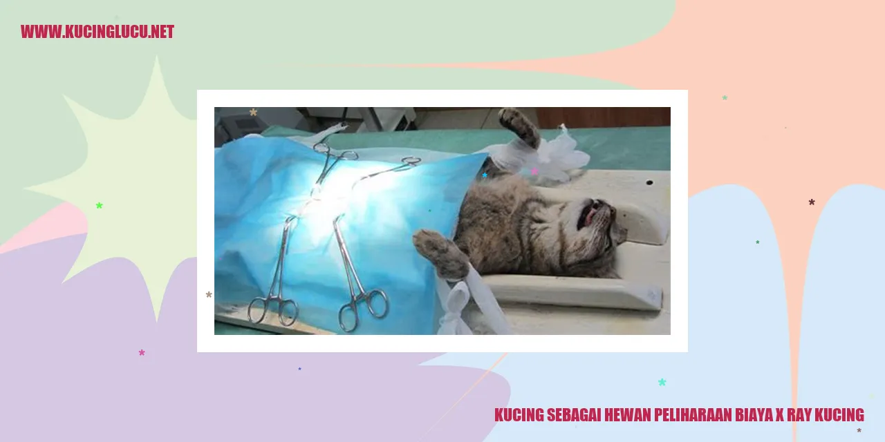 Gambar Kucing