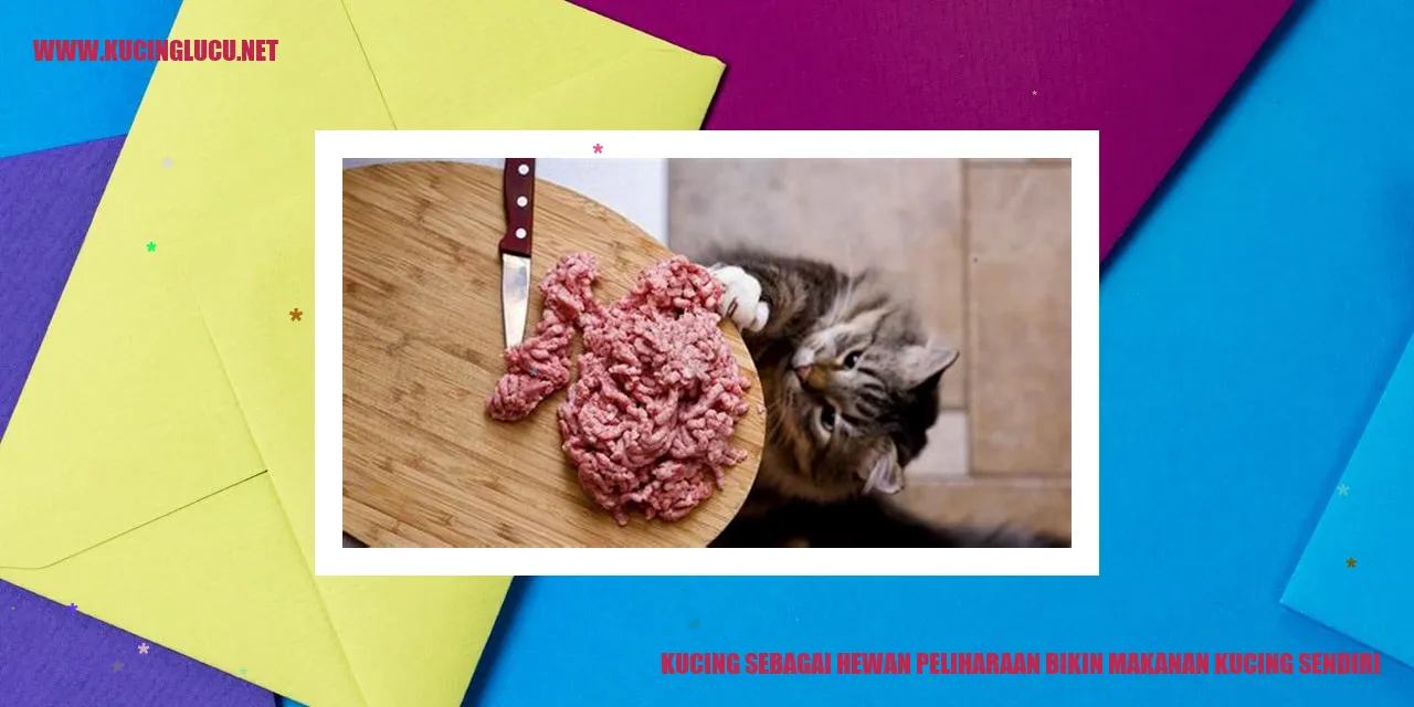 Gambar kucing