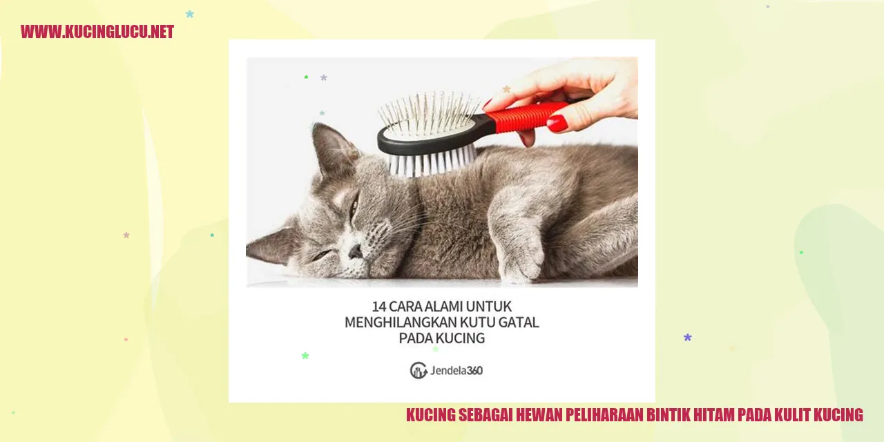 Kucing dengan bintik hitam