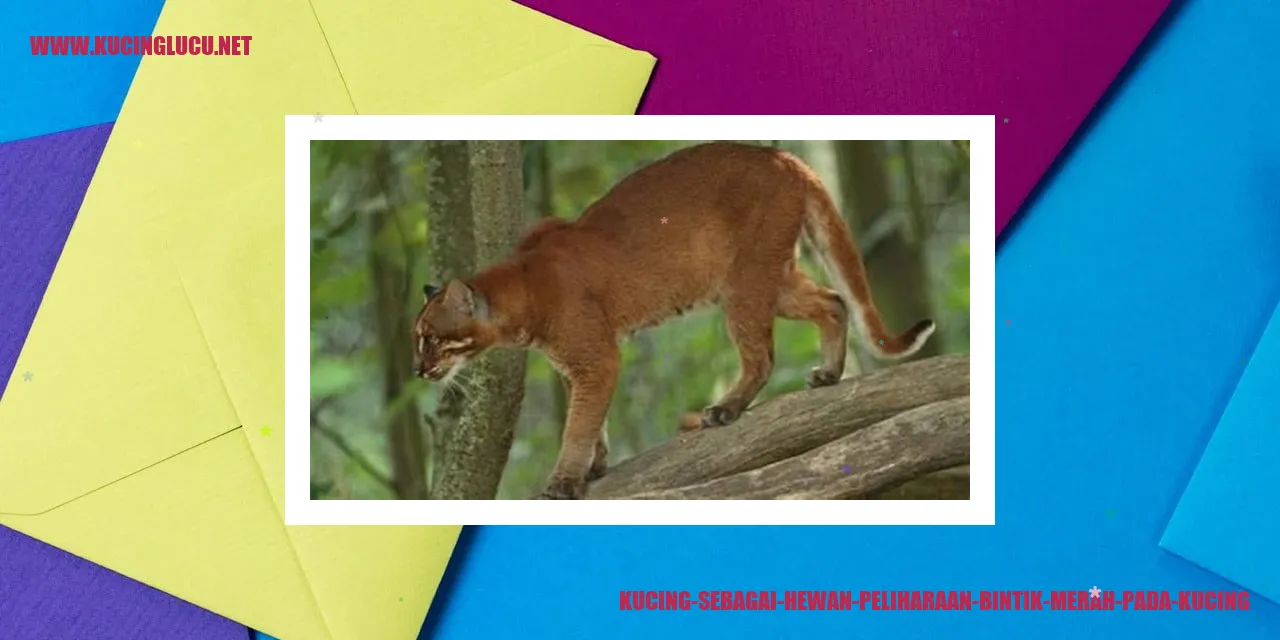 Kucing dengan bintik merah