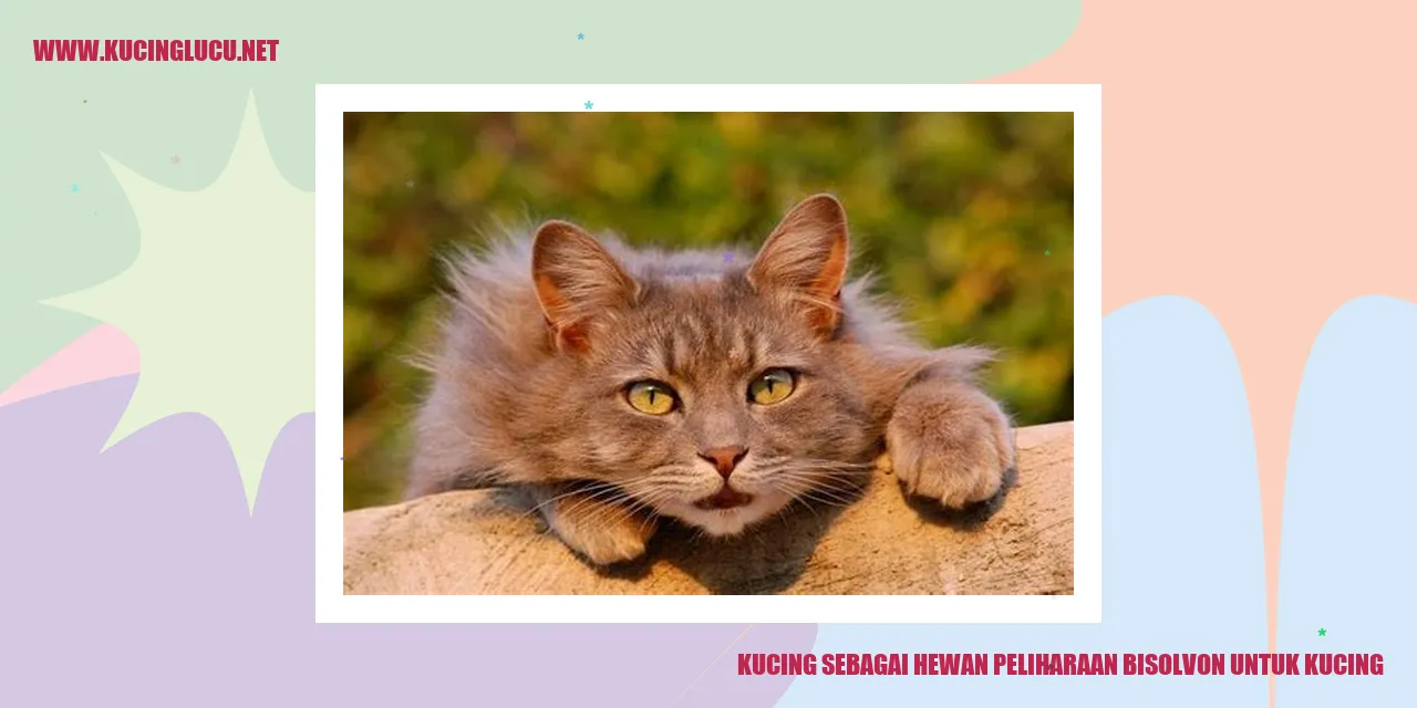 Kucing sebagai Teman Setia di Rumah