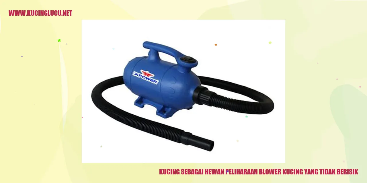 Kucing sebagai hewan peliharaan yang tidak berisik
