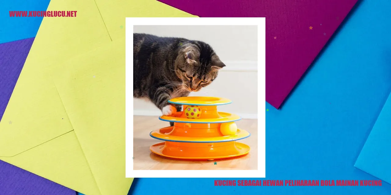Kucing yang sedang bermain dengan bola mainan