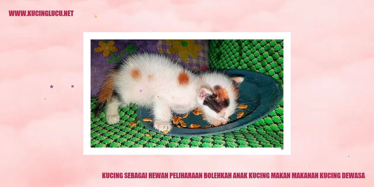 Kucing sebagai Hewan Peliharaan