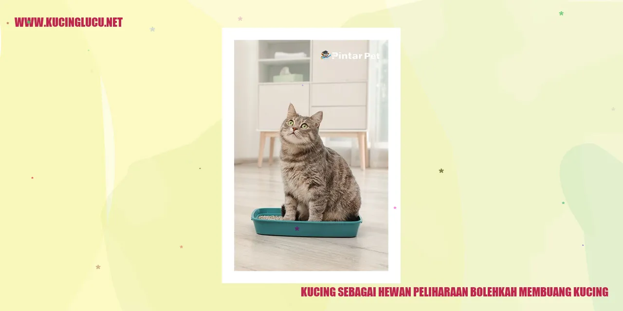 foto kucing menggemaskan