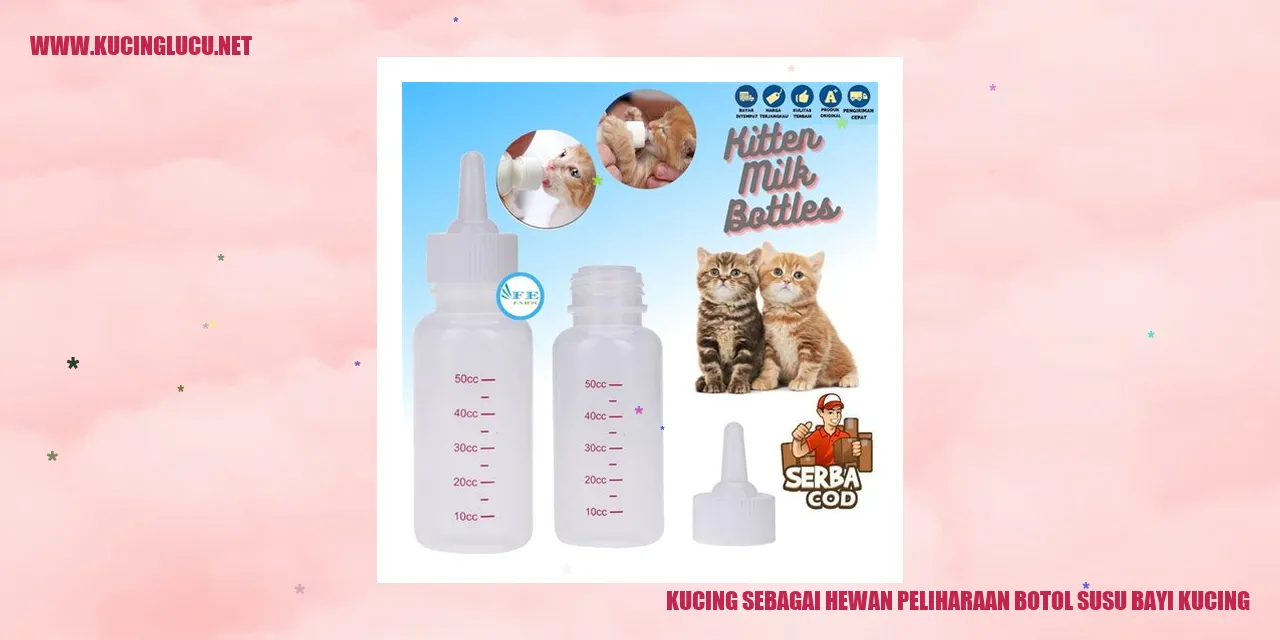 gambar kucing