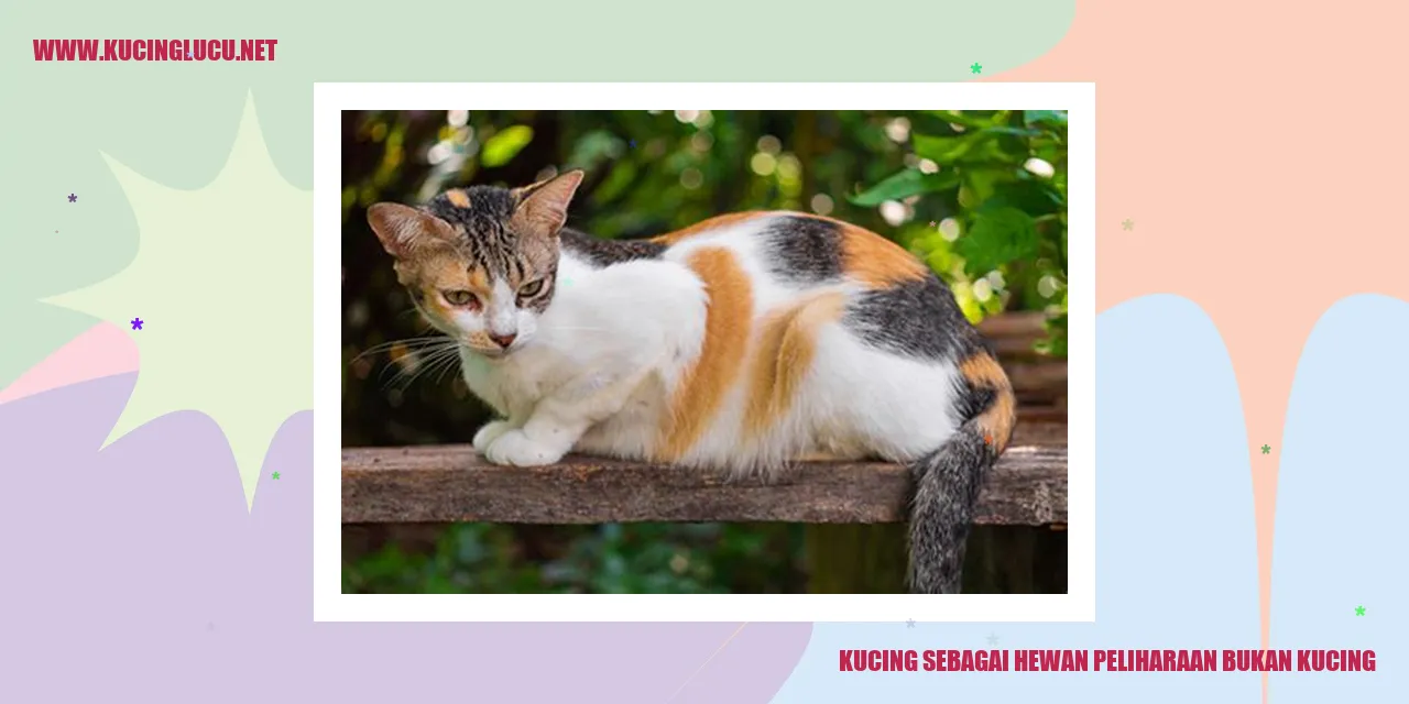 Kucing sebagai Hewan Peliharaan