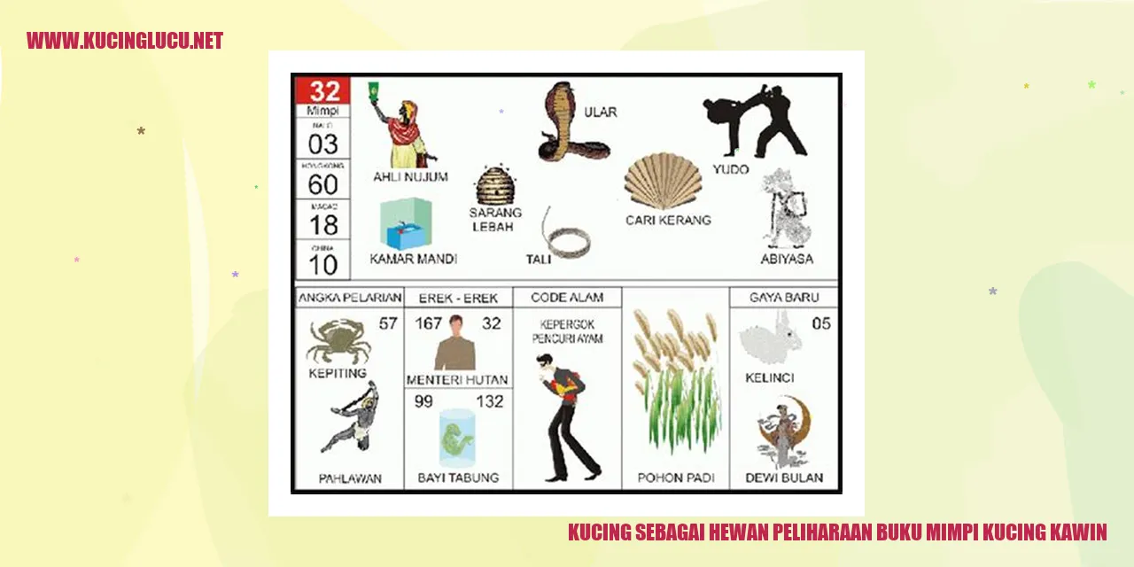 Kucing lucu