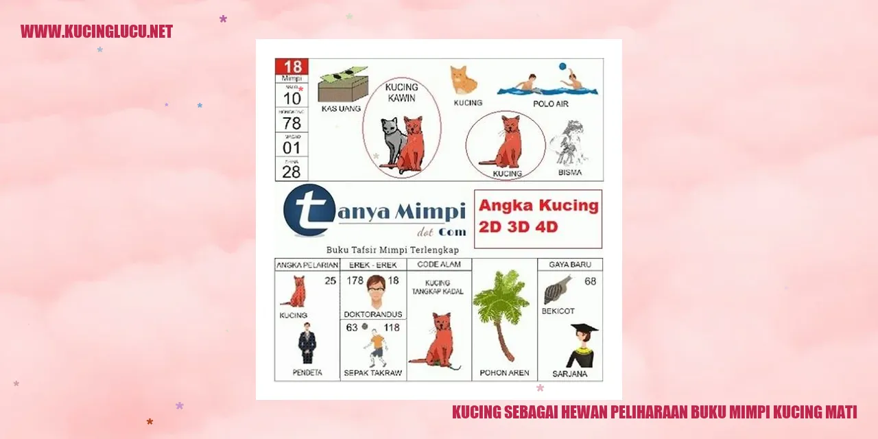 gambar kucing