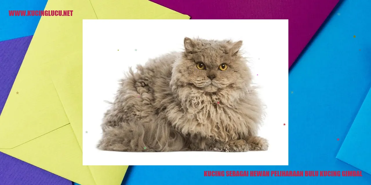 Kucing sebagai Hewan Peliharaan bulu kucing gimbal