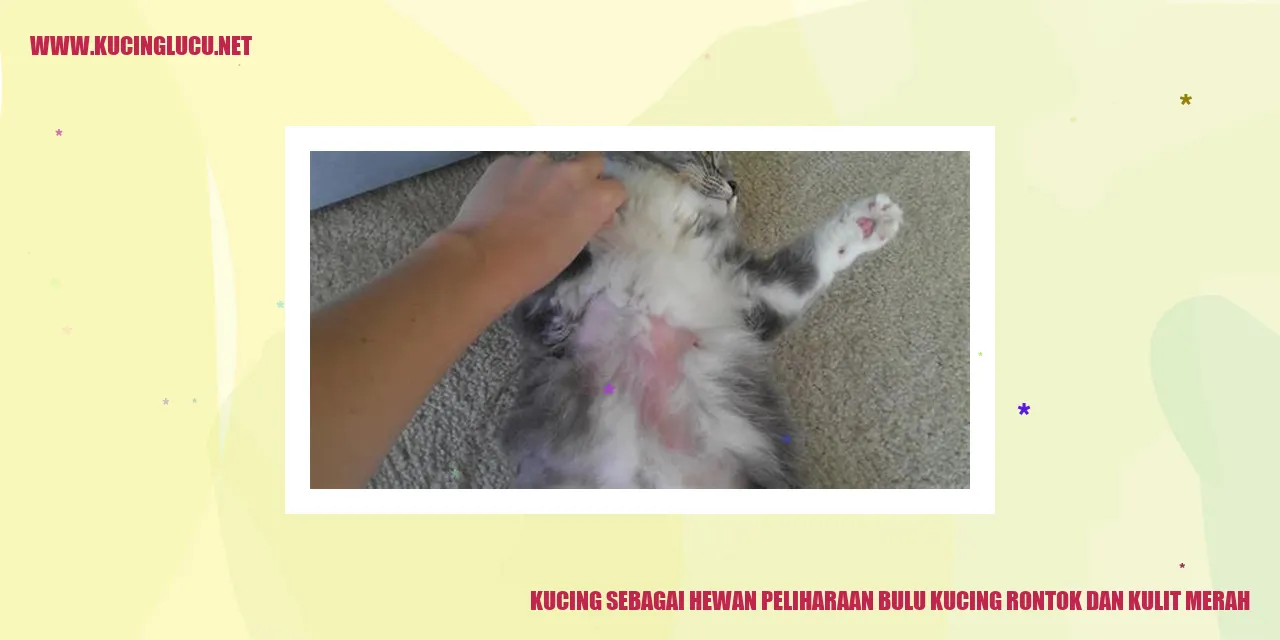 Kucing dengan bulu rontok dan kulit merah