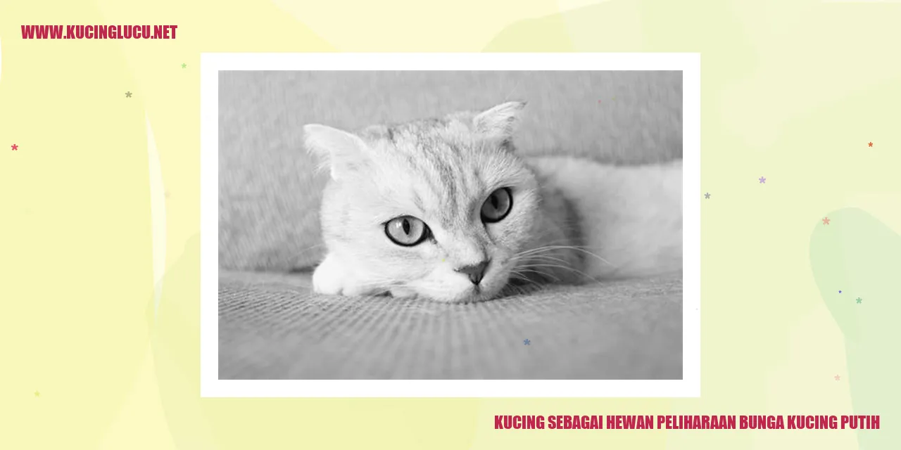 Kucing Putih