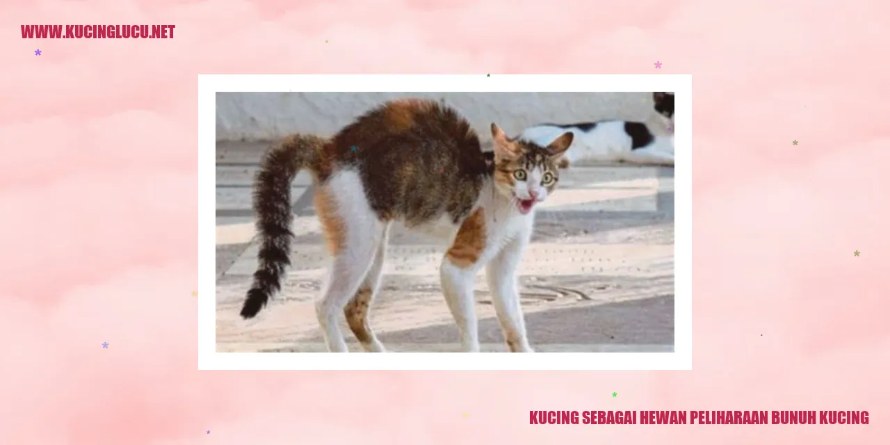 Kucing Sebagai Hewan Peliharaan