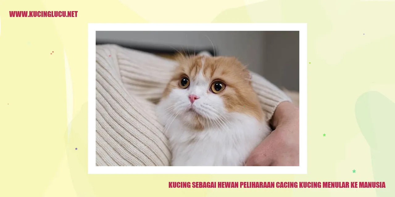 Gambar Kucing sebagai Hewan Peliharaan