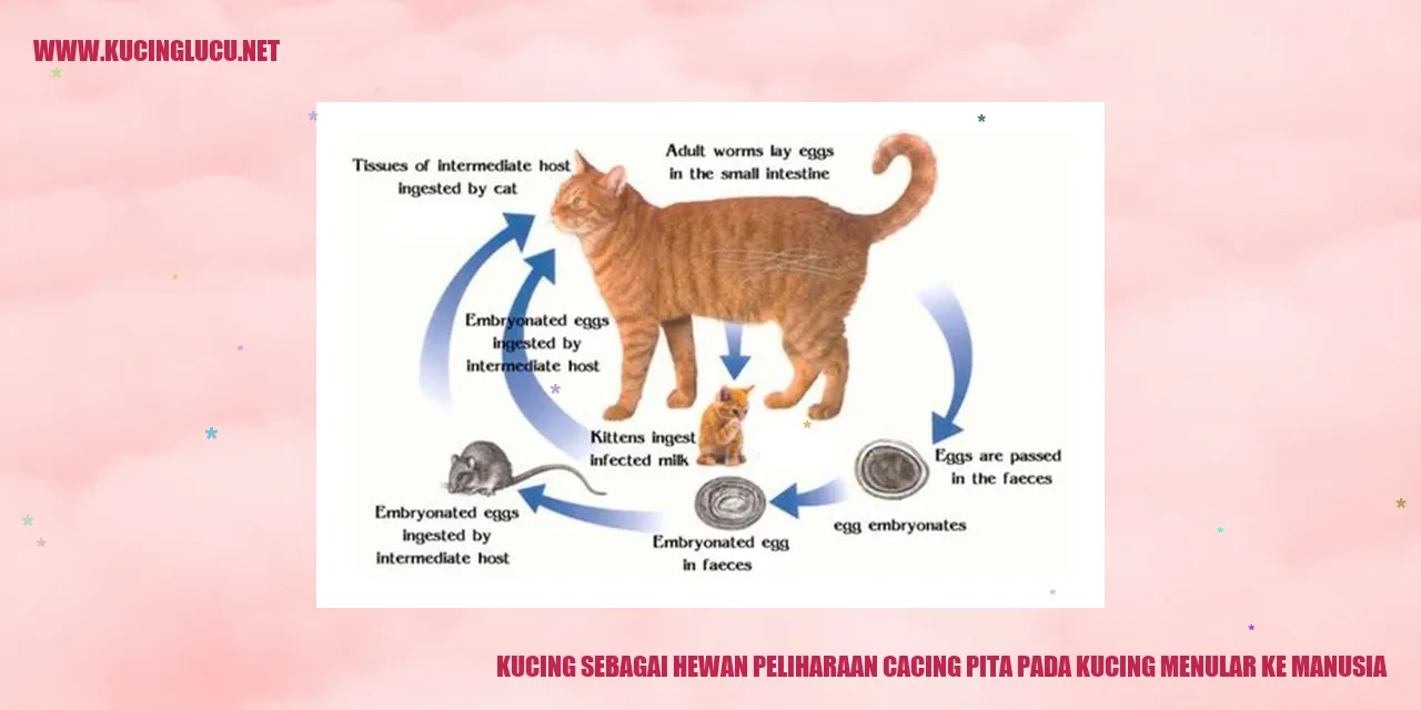 Gambar kucing sebagai hewan peliharaan
