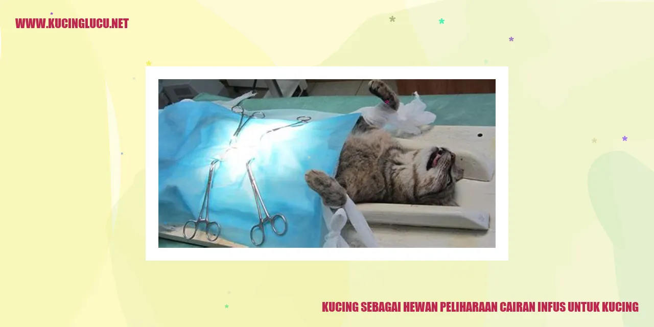 Kucing sebagai Hewan Peliharaan cairan infus untuk kucing