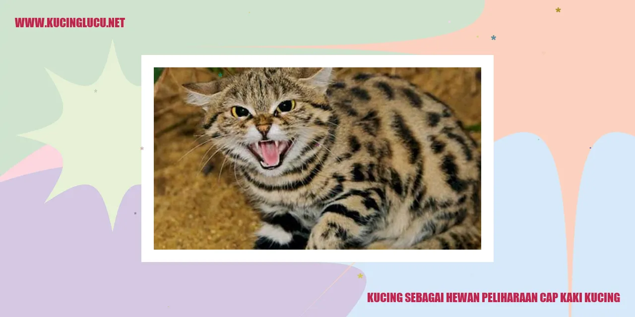 Kucing sebagai Hewan Peliharaan cap kaki kucing