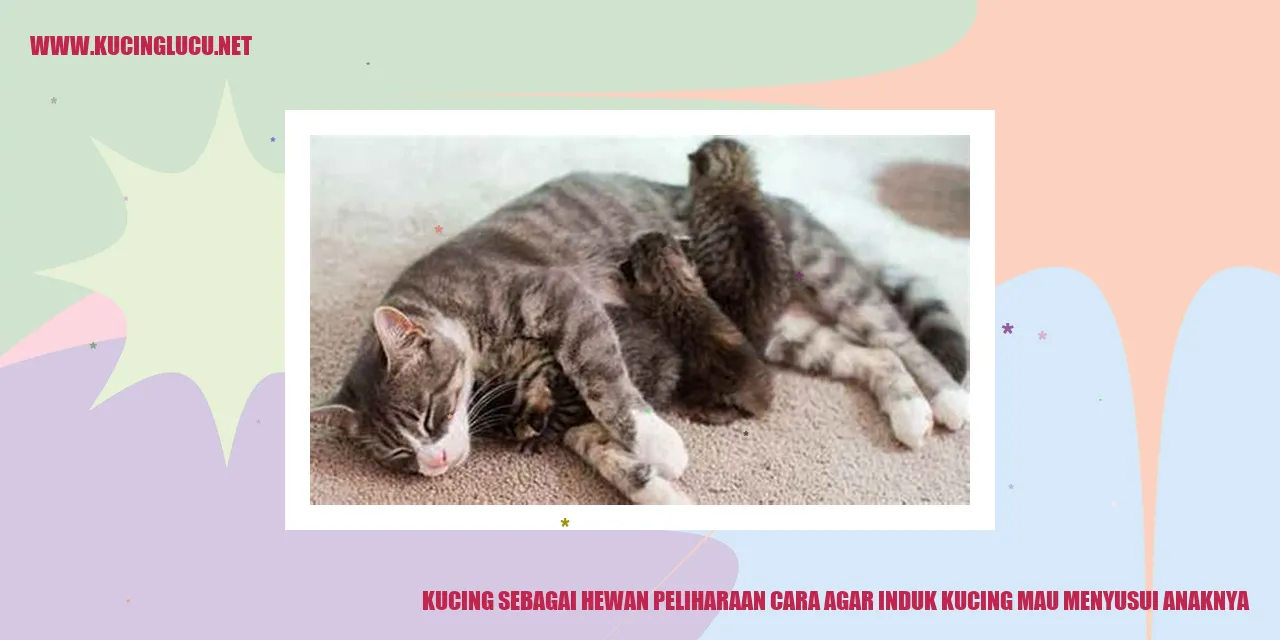 Induk kucing menjaga anaknya