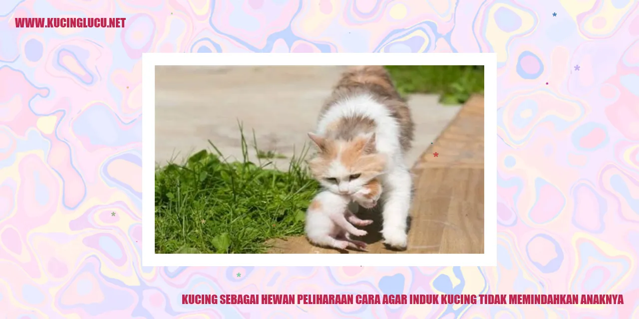 Induk kucing dan anaknya
