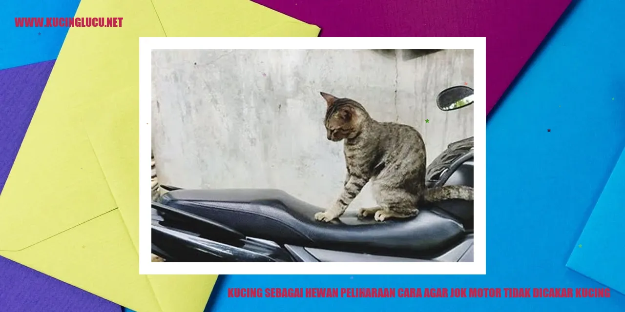 Gambar Kucing sebagai Hewan Peliharaan
