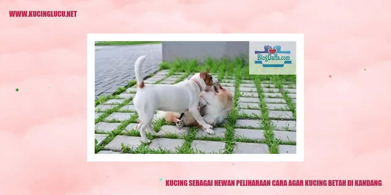 Kucing di kandang