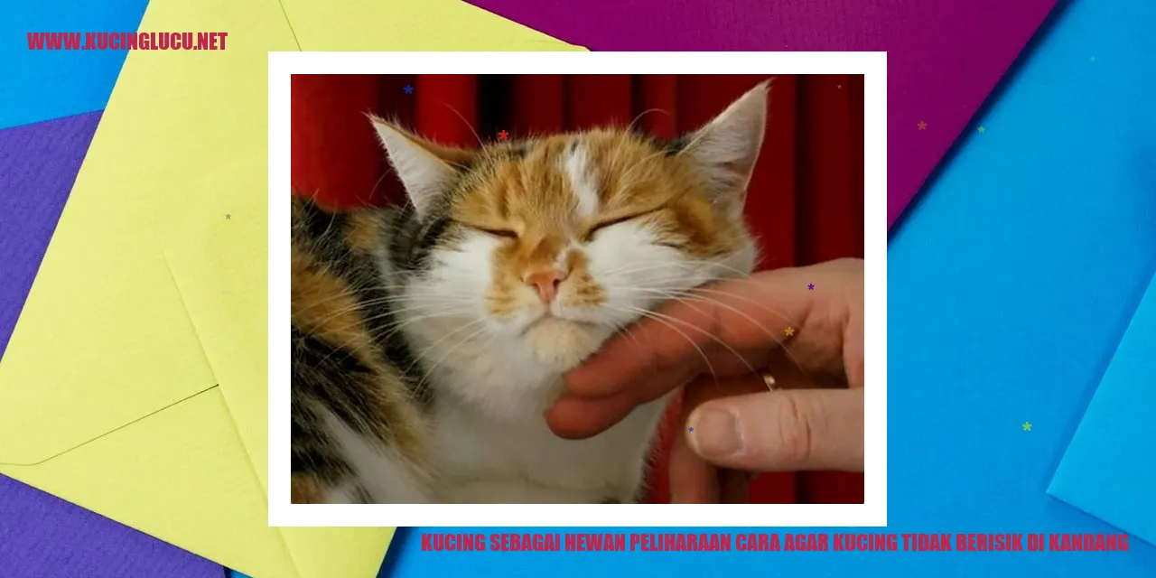gambar kucing