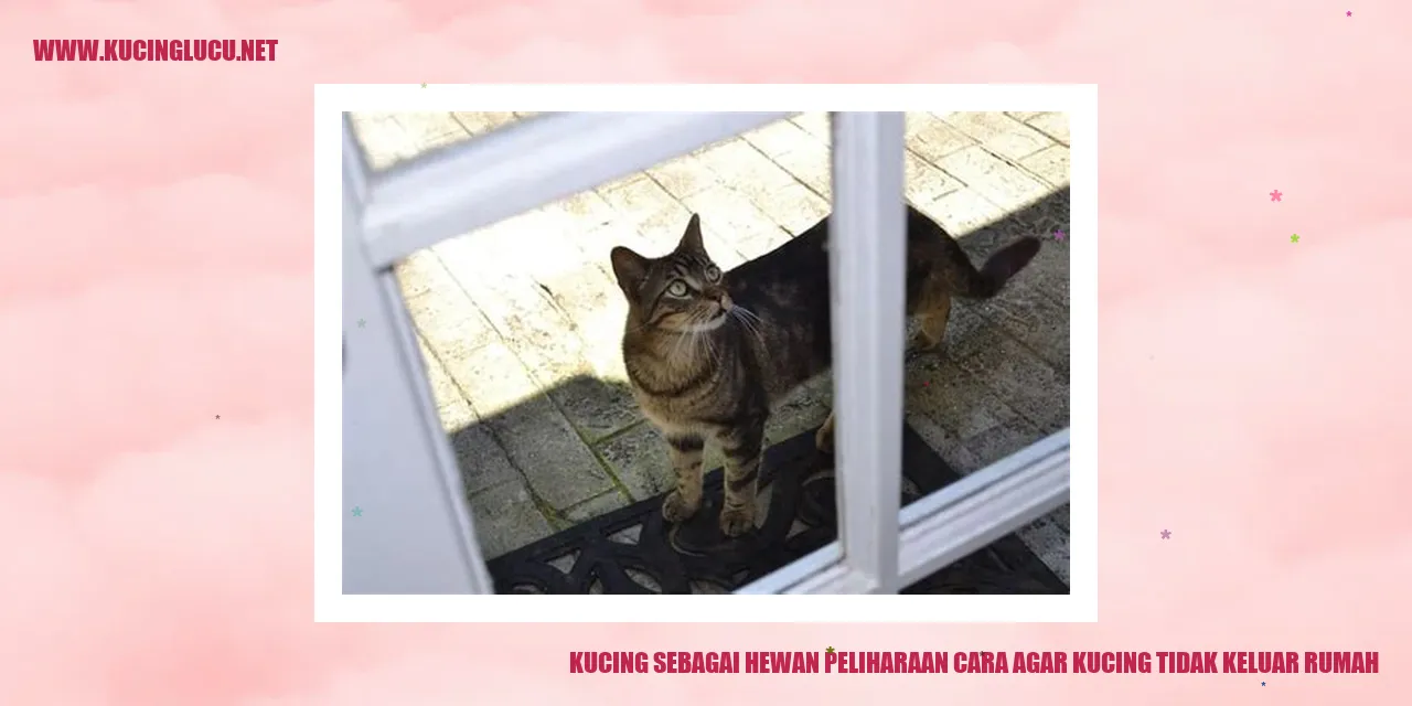 gambar kucing