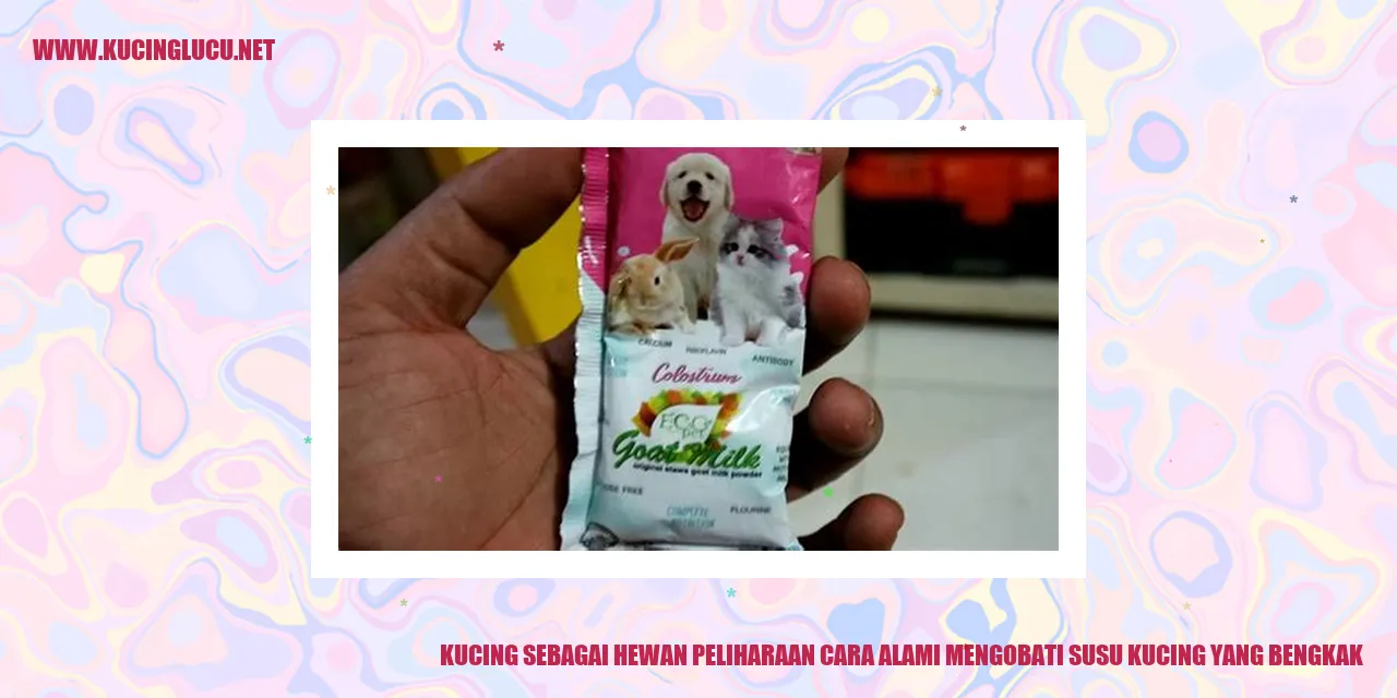 Gambar kucing yang menggemaskan dan menyenangkan