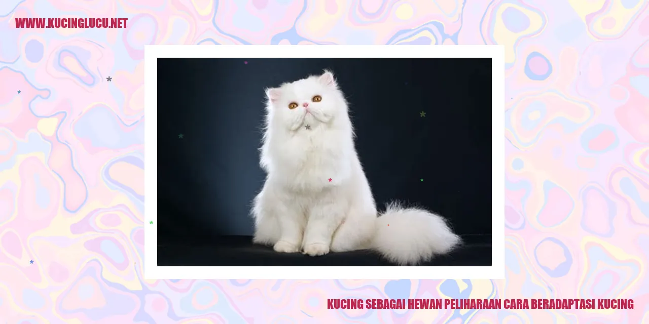 Gambar kucing yang menggemaskan