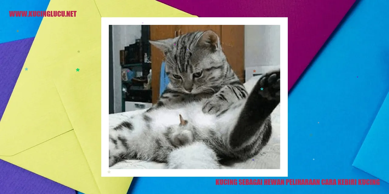 Gambar Menggemaskan Kucing