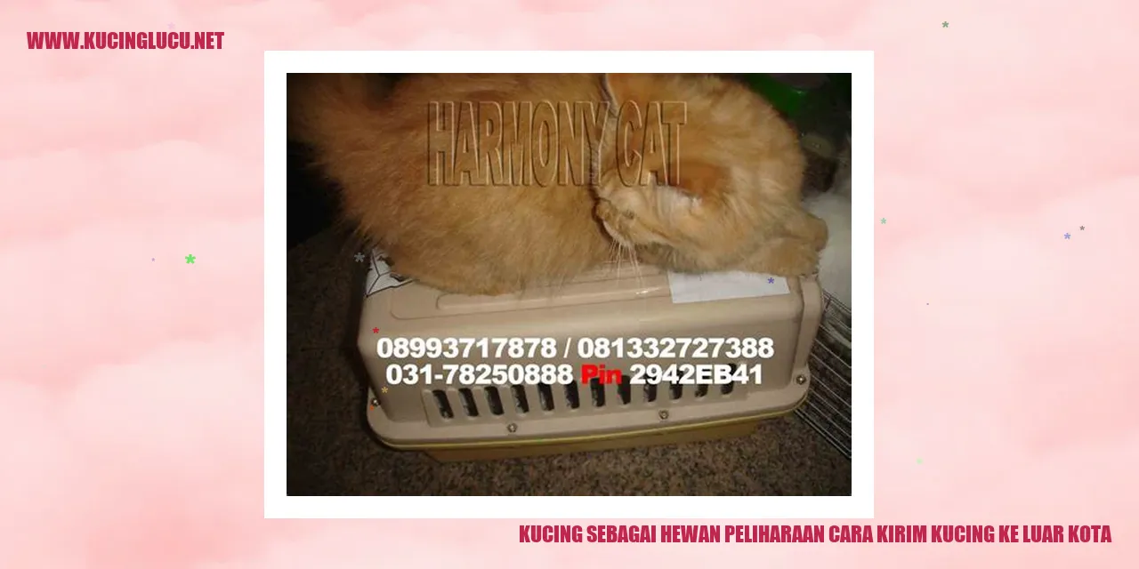 Kucing sebagai Hewan Peliharaan