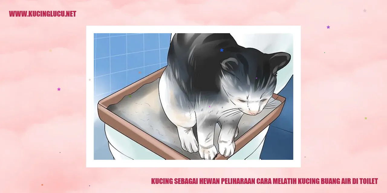 Saatnya kucing buang air di toilet