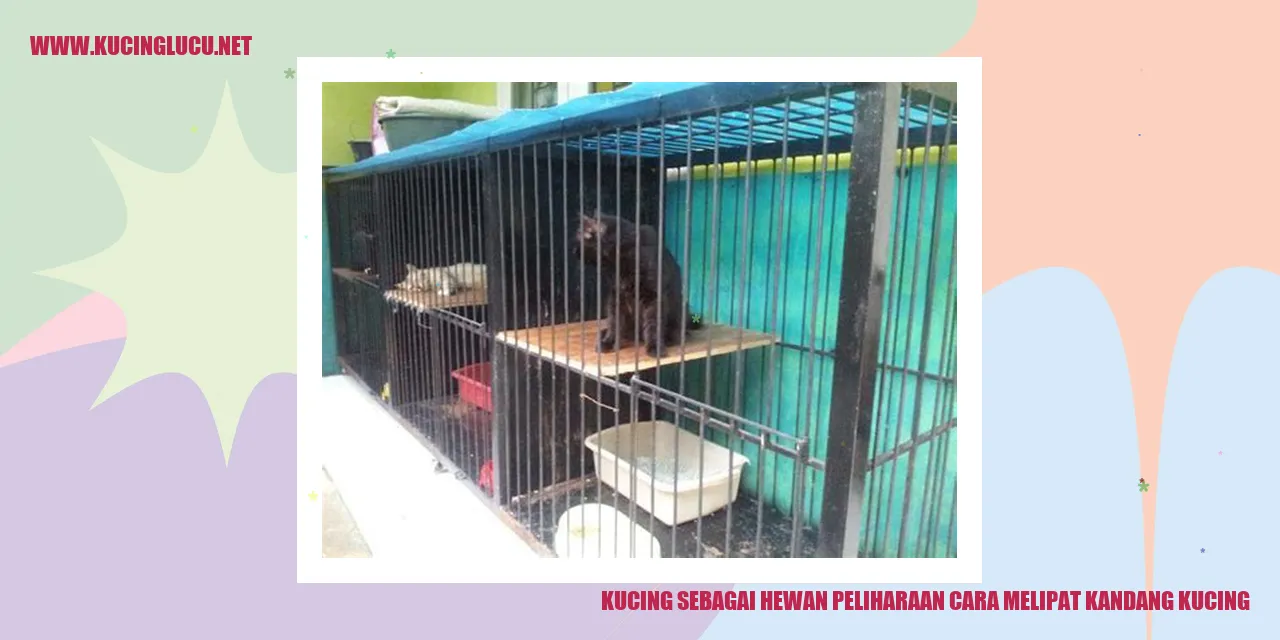 Kucing sebagai Hewan Peliharaan cara melipat kandang kucing