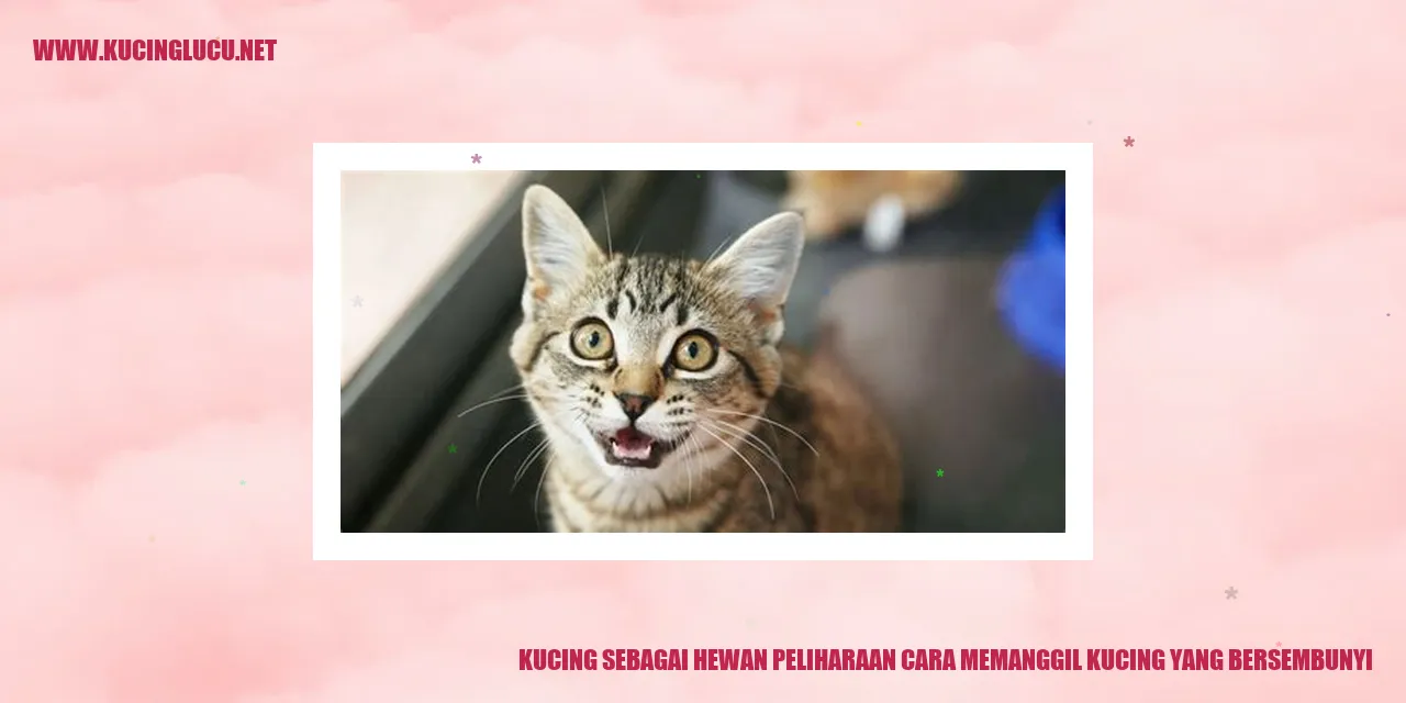 Kucing mengintip