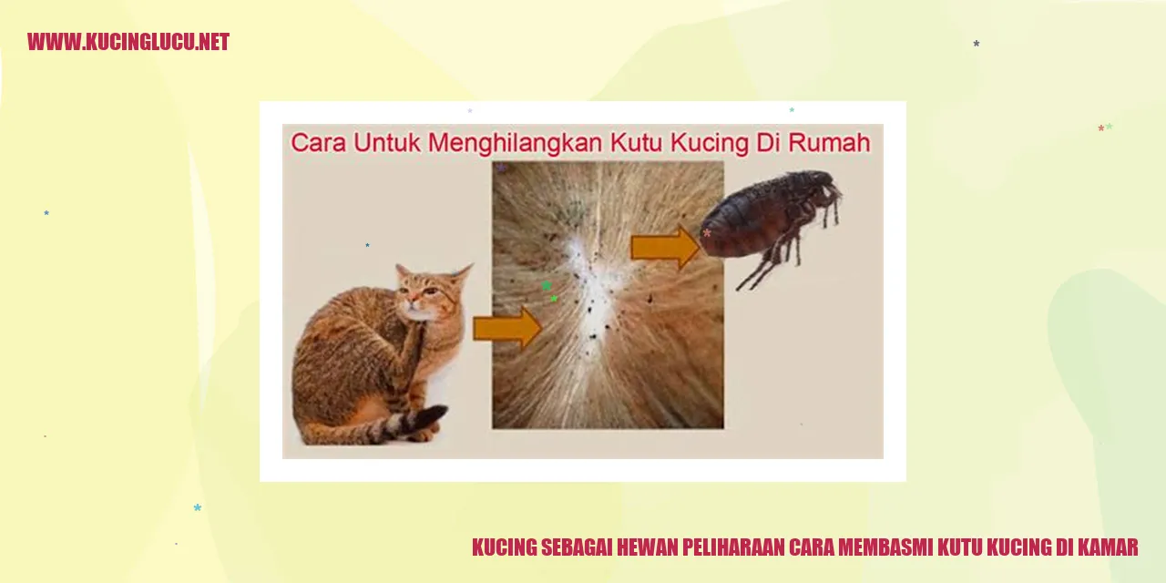 Kucing