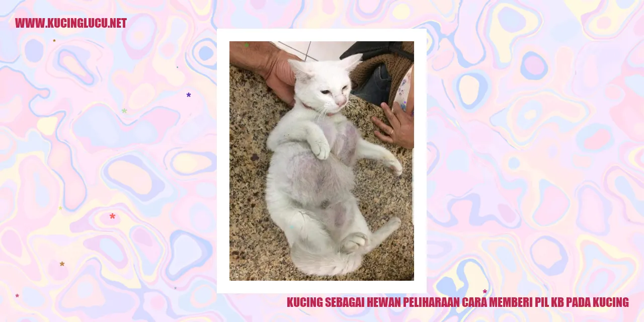 Kucing dengan pil KB