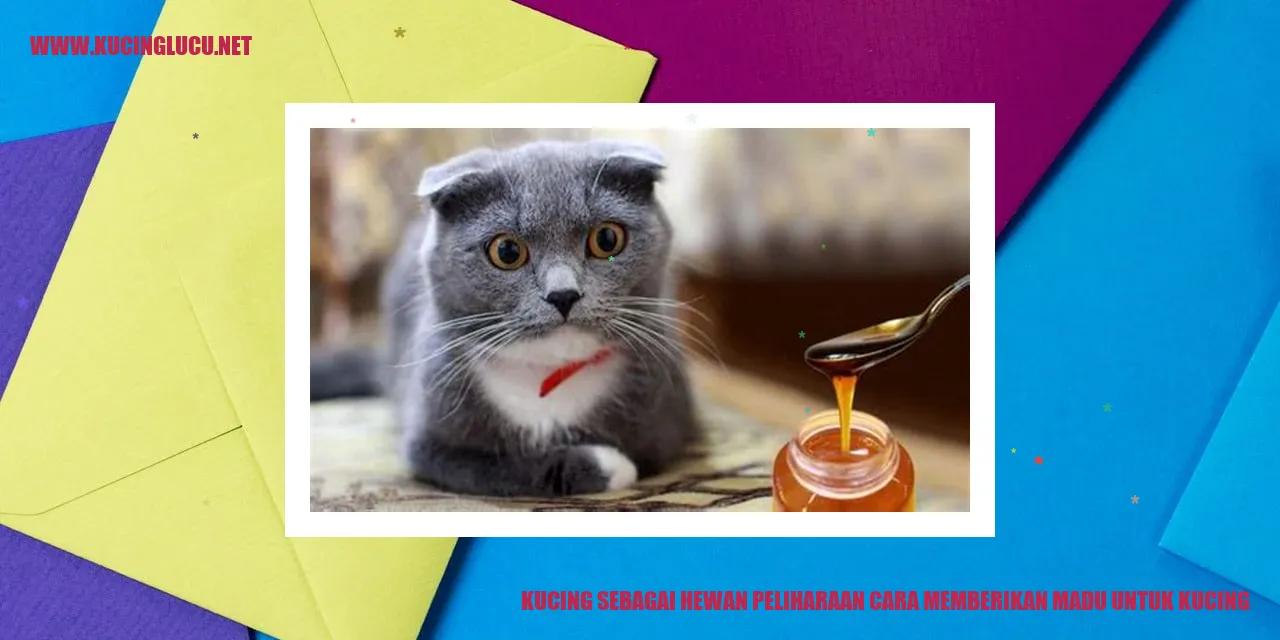 Kucing sebagai Hewan Peliharaan cara memberikan madu untuk kucing